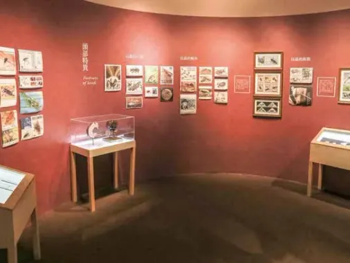 郵說昆蟲特展 現場照片 1
