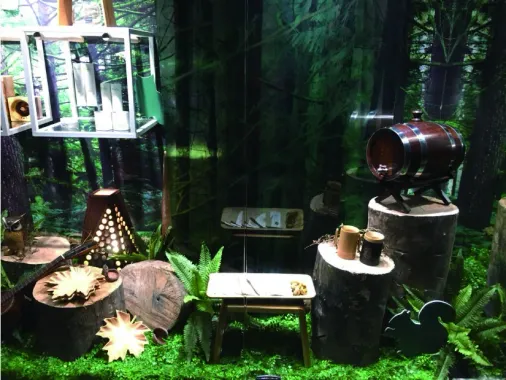 林務局櫥窗展示 現場照片 3